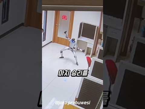 쿵푸 로봇으로 폭주한 로봇 thumbnail