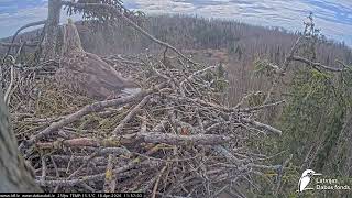 J E20260418 115640MaleLooksInSkyCalls