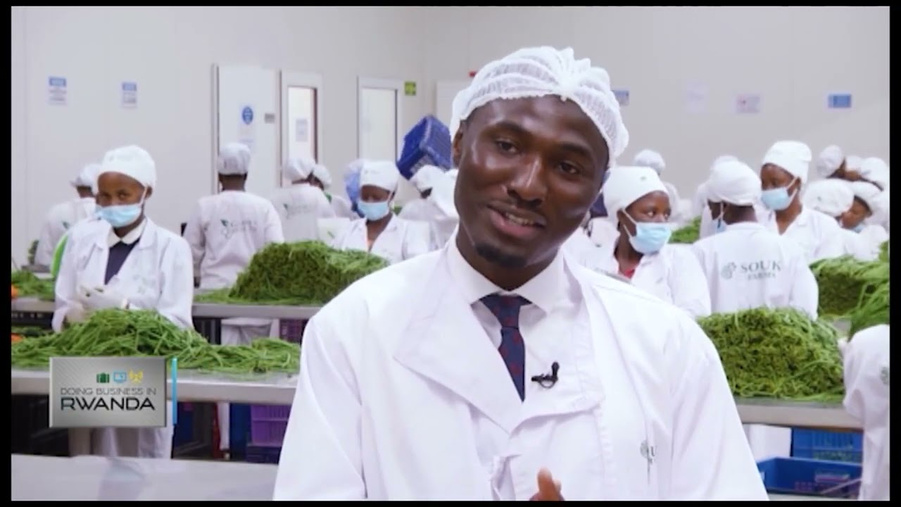 Expanding agro exports with cold chain and cargo