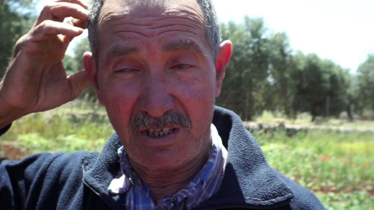 donpasta. Omaggio agli ulivi del Salento