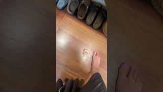 How do I get rid of this footprint on my wood floor?! π© π¦Ά
How do I get rid of this footprint on my wood floor?! π© π¦Ά How do I get rid of this footprint on my wood floor?! π© π¦Ά