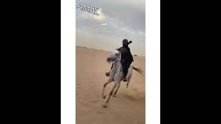 #Untitled videoشيله شدت حبال الوصل حساده حالات ستوريات انستغرام