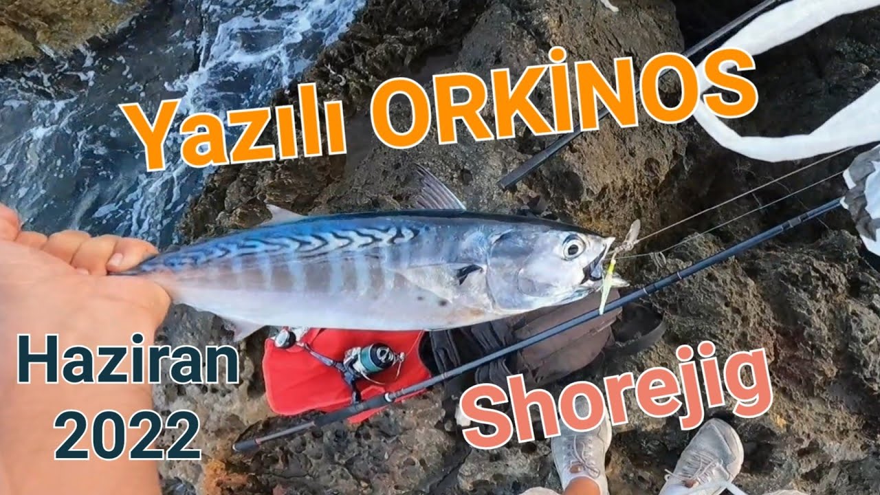 Jig ile YAZILI ORKİNOS AVI | Shore Jigging Little Tuna Fishing (False Albacore)