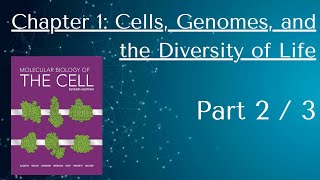 7th Edition Molecular Biology of the Cell   Chp 1, part 2 of 3