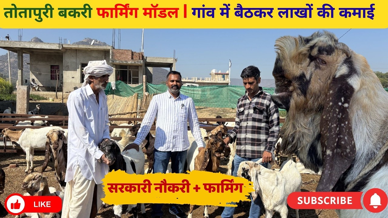 Totapuri Goat Farming Success Story | तोतापुरी बकरी पालन | इंटीग्रेटेड फार्मिंग मॉडल