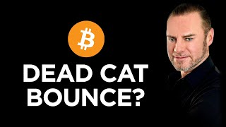 Dead Cat or Breakout? THIS Is the Line That Decides It 🔥📉🚀