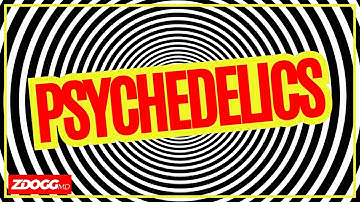 How Do Psychedelics Work? | A Doctor Explains [CLIP]
