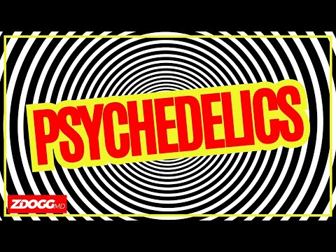 How Do Psychedelics Work? | A Doctor Explains [CLIP]