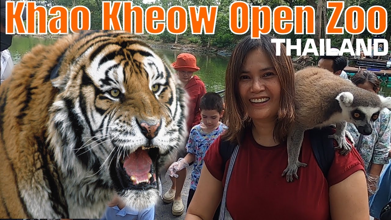 Khao Kheow Open Zoo Feeding and petting lemurs and taking a golf cart ride around the zoo