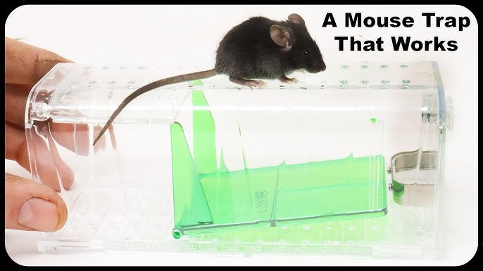 Harris Reusable Catch & Release Humane Mouse Trap, 1 Trap