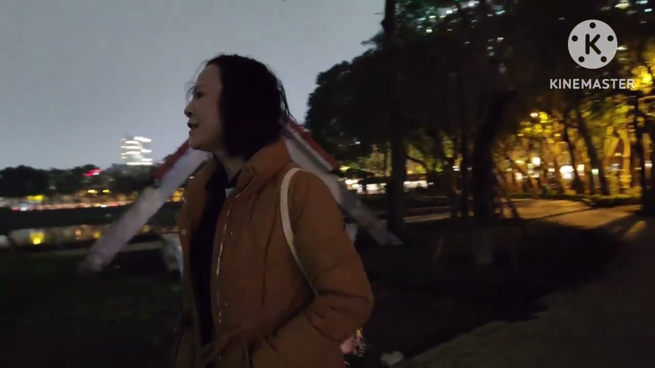 Phố mùa đông/ St: bảo chấn