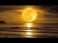 Sleep Music 24/7, Meditation Music, Insomnia, Sleeping Music, Relaxing Music, Spa, Zen, Study, Waves