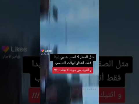 انا مثل الصقر