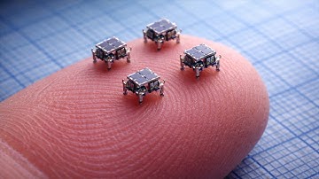 World’s Smallest Robots Could Change Technology