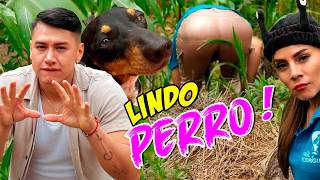 Lindo perro de la Rosa Maria | vida de pueblo #comedia #humor