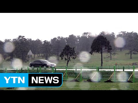 [날씨] 제주 호우 특보...서귀포에 95mm 비 내려 / YTN