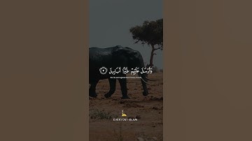 Surat Al-Fil (The Elephant) | Mishary Rashid Alafasy | مشاري بن راشد العفاسي | سورة الفيل