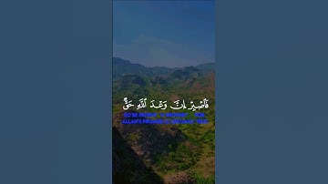 تلاوة خاشعة قرأن كريم بصوت يريح القلب #elmulquranعلم #قران_كريم #تلاوة #المصحف #trend #اكسبلور