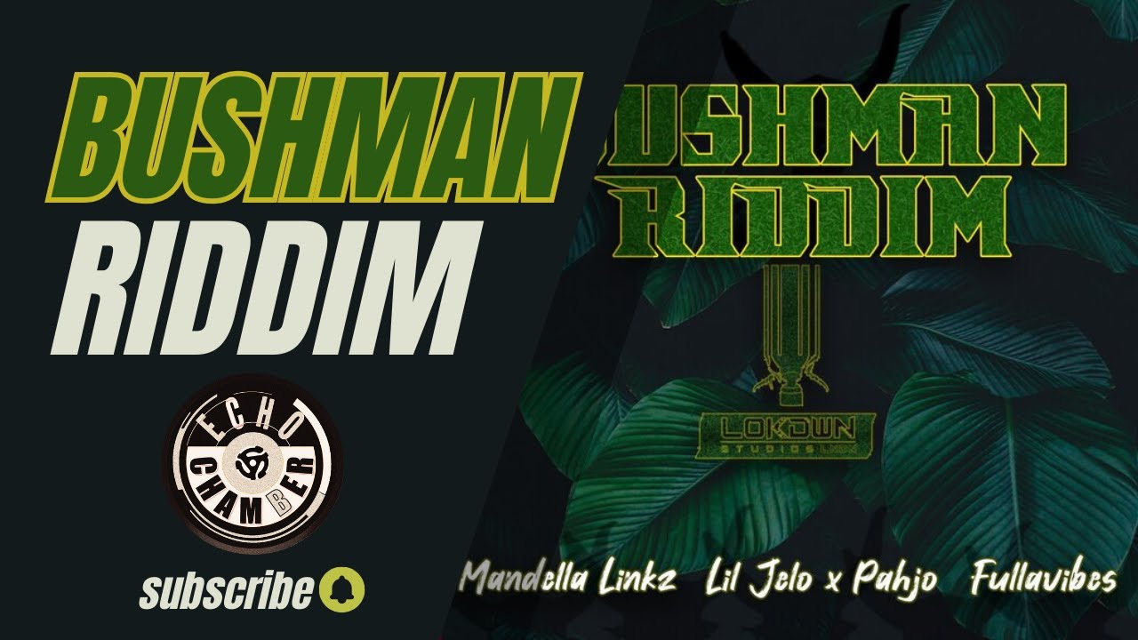 Bushman Riddim Mix! | Echo Chamber adlı videoyu YouTube'da izle Bushman Riddim Mix! | Echo Chamber adlı videoyu YouTube'da izle