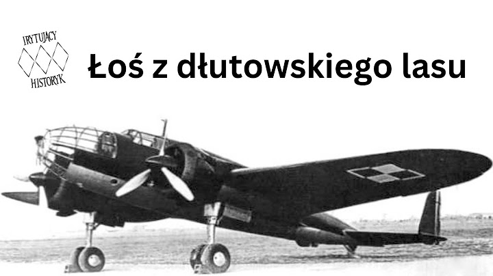 Łoś z dłutowskiego lasu