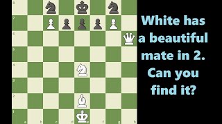 That checkmate in 2 is really beautiful