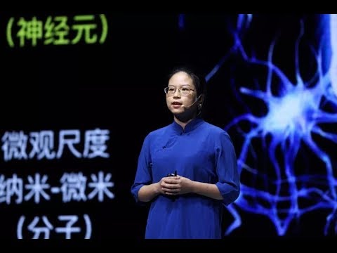 【造就】演讲 | 你的大脑有860亿神经元，比地球人口10倍还多，它们是如何工作的？