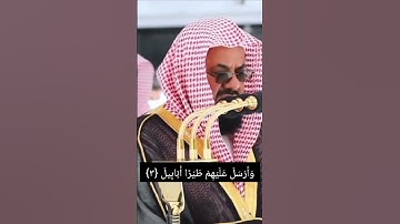 تلاوة سورة الفيل لفضيلة الشيخ أ.د. سعود الشريم