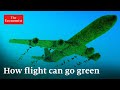 Can flying go green