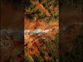 This view from the cliff edge is insane #grandcanyon #trendingshorts