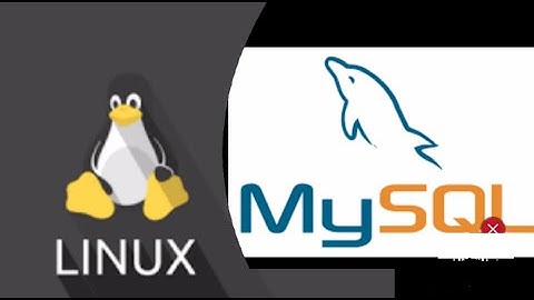 Instalar Mysql en Linux Fácil y Rápido