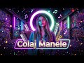 🎧 Colaj Manele 2026 | Muzică de Chef Care Se Simte Din Prima