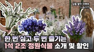 💐Enjoy the garden and get a luxurious bouquet💐 Introducing 6 types of garden plants perfect for c...