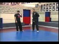 Learn stand up arm bar by fariborz azhakh