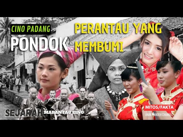 CHINESE (CINO PADANG) MIGRANT OR NATIVE?? || ANAK MANDEH CHANNEL class=