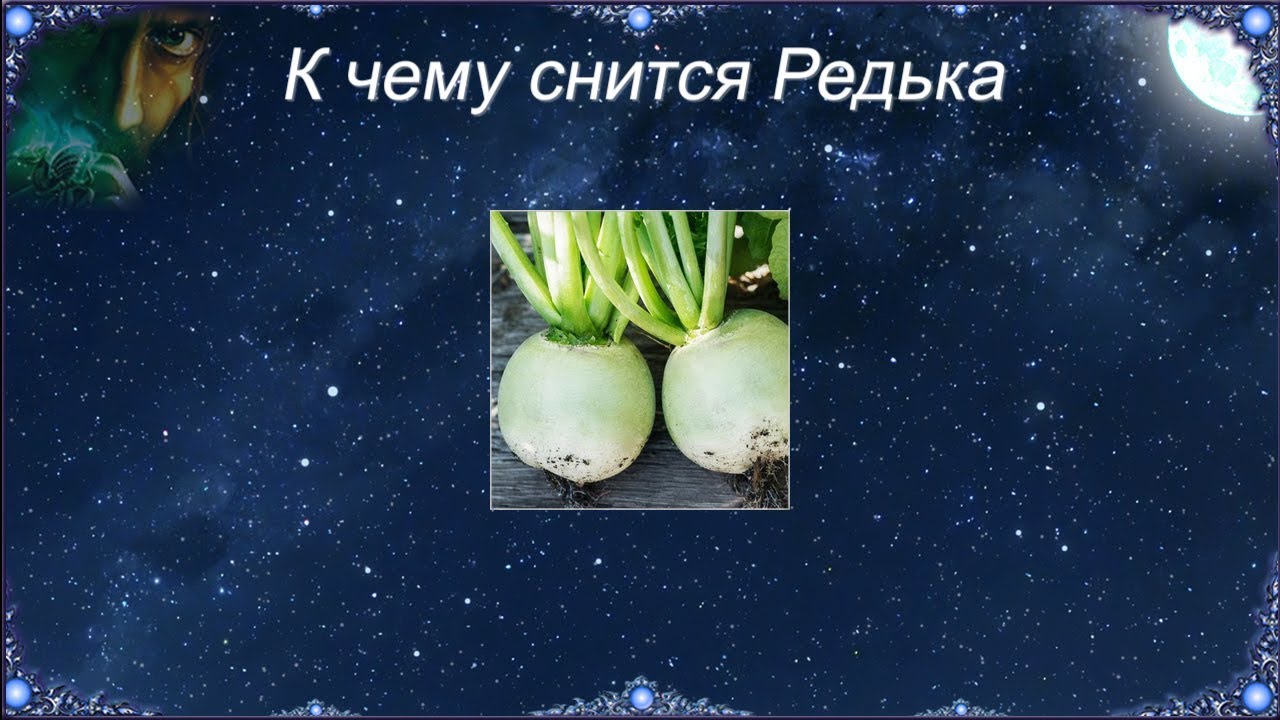 К чему снится Редька (Сонник)