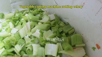 Automatic Celery Cutting Machine 801A Teemyeah Machinery