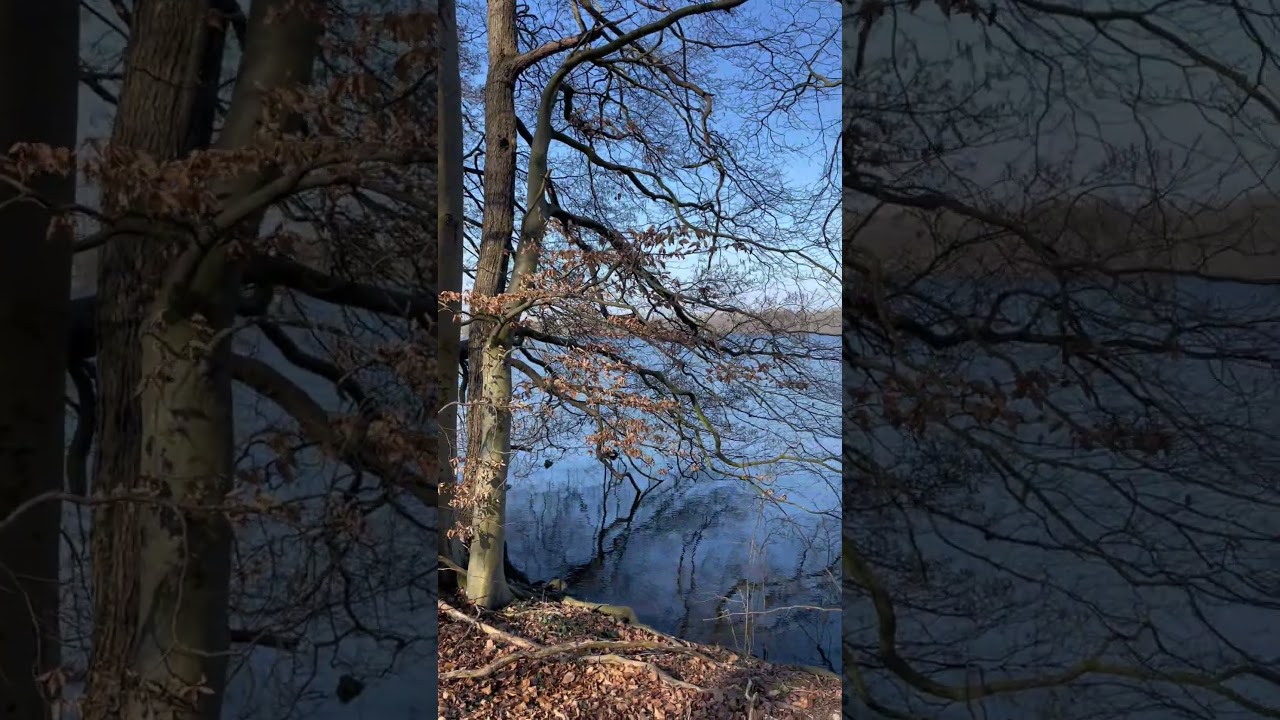 Runde um den Stocksee bei bestem Frühlingswetter 