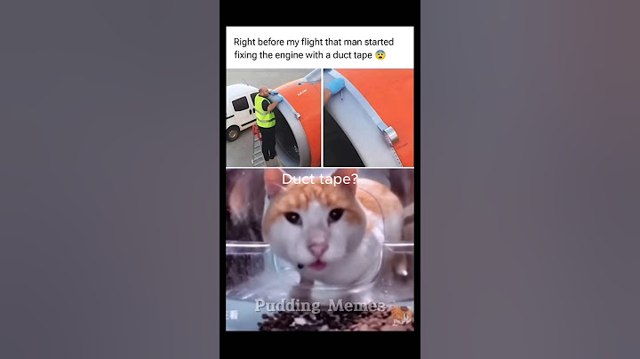 Safety first 🤣 #memesdaily #helpmemakethismakesense #youtubeshorts #catmemes