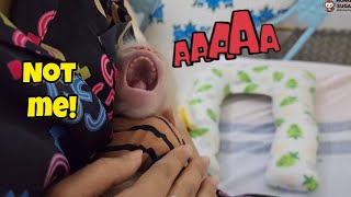 Baby Monkey SUGAR Funny Screams and Finds Evidence to Avoid Mom’s Punishment