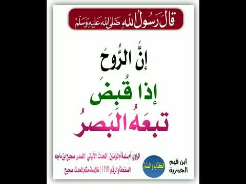 إن الروح إذا قبض تبعه البصر إشترك معنا في القناة