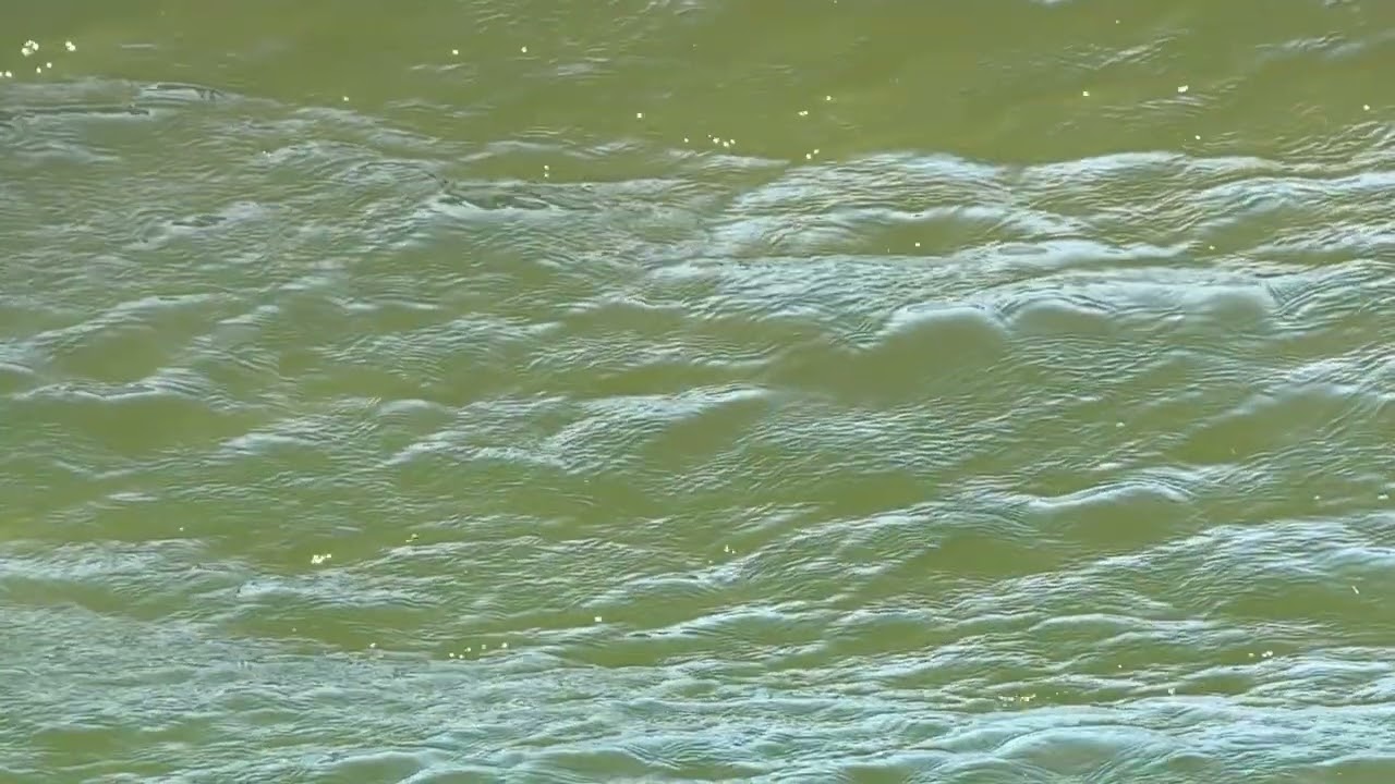 Marea Interna - Neptuno - Hypnotic Frequencies Vol. 3 auf YouTube ansehen Marea Interna - Neptuno - Hypnotic Frequencies Vol. 3 auf YouTube ansehen