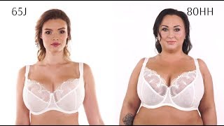 Nessa Selena (Ivory/Gold) на моделях 65J и 80HH