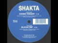 Shakta - Cosmic Trigger