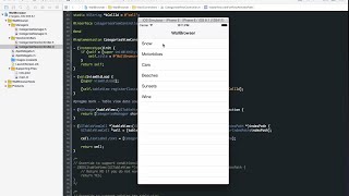 Learning iOS development Screencasts - WallBrowser 3 - Categories manager Details