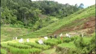 Trek c Salu, Lolai & Limbong Treks 1|2|3|days