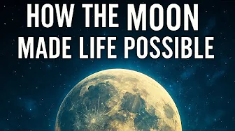 How did the Moon make Life On Earth possible? | The Wandering Neuron How did the Moon make Life On Earth possible? | The Wandering Neuron