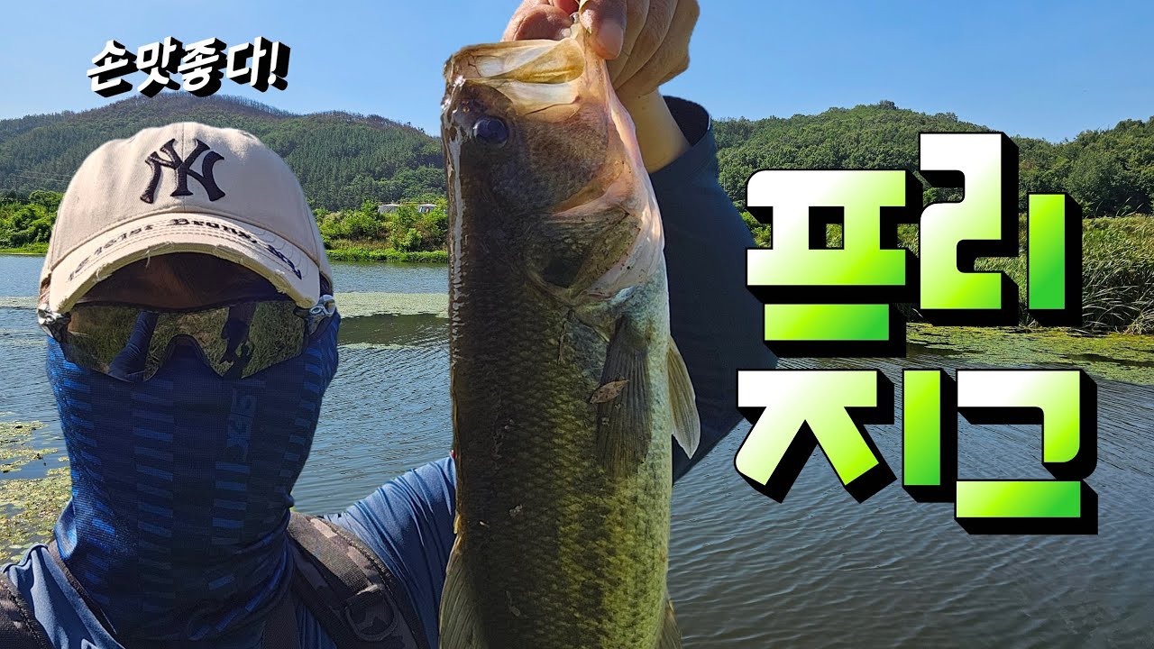 한여름 무더위를 이겨내며 낚아낸 소중한 배스 손맛