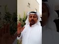 تحميل أغنية تجربة علمية في أكبر غرفة تفريغ للهواء في العالم تثبت نظرية جاليليو Mp3 Mp4