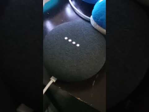 Is Google Having A Stroke