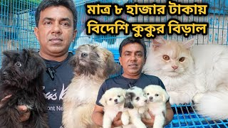 Lhasa Apso | Dog price in 2023 | Persian cat price in 2023| Katabon animal market in bangladesh #gsd